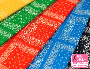 y_tf[̓|Cg10{zY@̂ȃo_iV[`Ovg2┖Ōyn̂鐶nERbg100E108cmЁynEzzy􉽊wlz