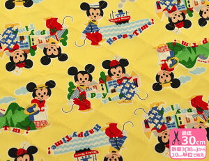 ݌ɌILeBOnyfBYj[z~bL[~j[ HAPPY TIME nbs[^CiIbNXLgjE킽萶nE106cmЁyLN^[EznzyKOKKAzcOfUC