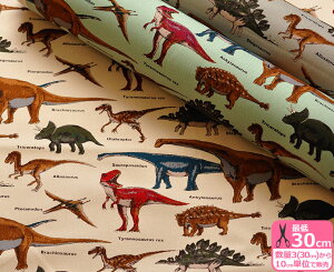 yRbg΂₵z݌Ɍ _Ci\[YicCj  _Ci\[ eBmTEX  ̕ RbgcC cCn vgnynEzzKTS6036 3(30c