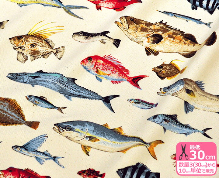 楽天市場 コットンツイル さかな図鑑 食卓でお馴染みのさかな編 Kts 6562 おかずの魚 約110cm巾 綿100 生地 布 ホビー家コテツ 楽天市場 コットンツイル さかな図鑑 食卓でお馴染みのさかな編 Kts 6562 おかずの魚 約110cm巾 綿100 生地 布 ホビー家コテツ