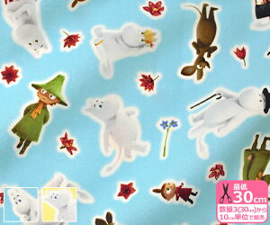 yMOOMIN VALLEYz[~ĴȂ܂iIbNXjCGAj[Ṽ[~ynEzzG-1005-1