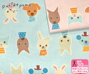 yveBf|[z݂ȂiȖLoXj    L lR L lR Rbgl putidepomeynEzz3(30cm)10cmP 374314