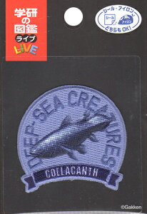 w̐}LIVEz[C V[JXACڒby V[EACpbyy|ޗzZL650-ZL08