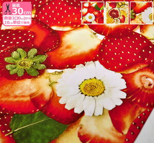 y_tf[̓|Cg10{zCNWFbgvg astin muhler AXeB [[ ݂݂C`S t[c  ynEzz̐́u3v 06