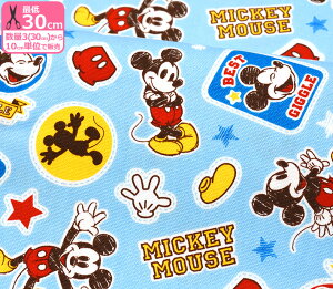 ミッキーマウス 生地の人気商品 通販 価格比較 価格 Com