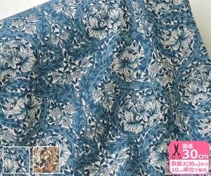 yC[OXӍՂ̓|Cg3{zyoeBvgzGA[RbgAfrican Marigold/AtJE}S[hi98-3638253-CHA J20B J20CjH~f NсynEzz 844860