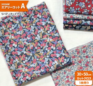 yoeBvgzJbgNX2020AWGA[RbgA i30×50cmj100NѐnynEzz7965 65126 844860