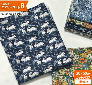 yoeBvgzJbgNX2020AWGA[RbgB i30×50cmj100NѐnynEzz7965 65126 844860