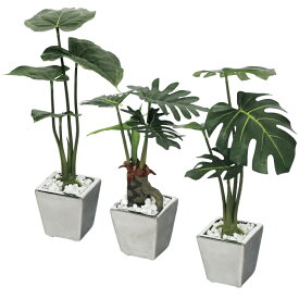 【安心サポート付】観葉植物　ミニポット（鏡面シルバー)水やり日当たり不要の人工観葉植物（モンステラ）