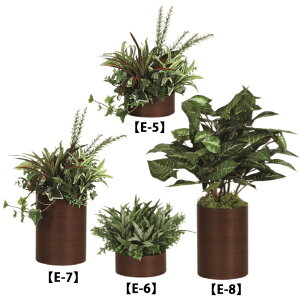 yST|[gtzItBX@ϗtA@sṽtFCNO[@O[|bg@~^Cv@uEؖځiSELj