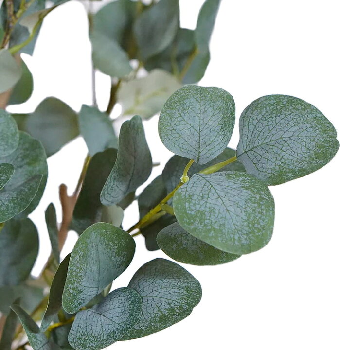 人工観葉植物 ユーカリ P2 A ポット付き 高さ150cm