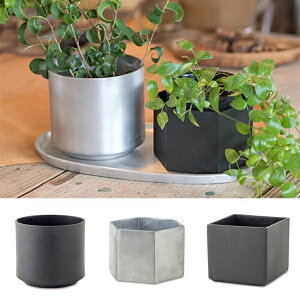 yST|[gtzA~ AؔiہElpEZpjv^[