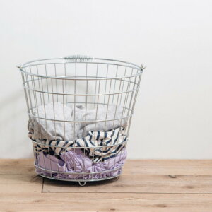 yST|[gtzC[ۃoXPbgi LjACAVo[dグ@Ўnht