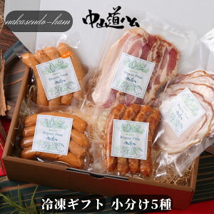 yGg[Ń|Cgő10{IzYMtg j jy Mtg Ⓚ Y\[Z[W Mtg zFG-05 Ⓚ5 Rn j ̓ 䒆  j Mtg