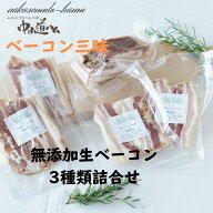 ベーコン三昧　無添加 生ベーコン ブロック スライス 厚切り 中山道ハム 自家用 お取り寄せ グルメ 食品 …