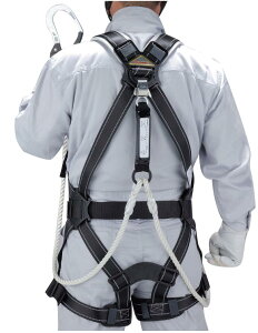 g[[ZteB[ tn[lX^[v@^Cv1 _u[h @No.FGH-55W