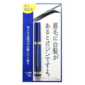 ※ゆうパケット・定形外郵便送料無料※ 『メンズ 眉墨　ブラック』