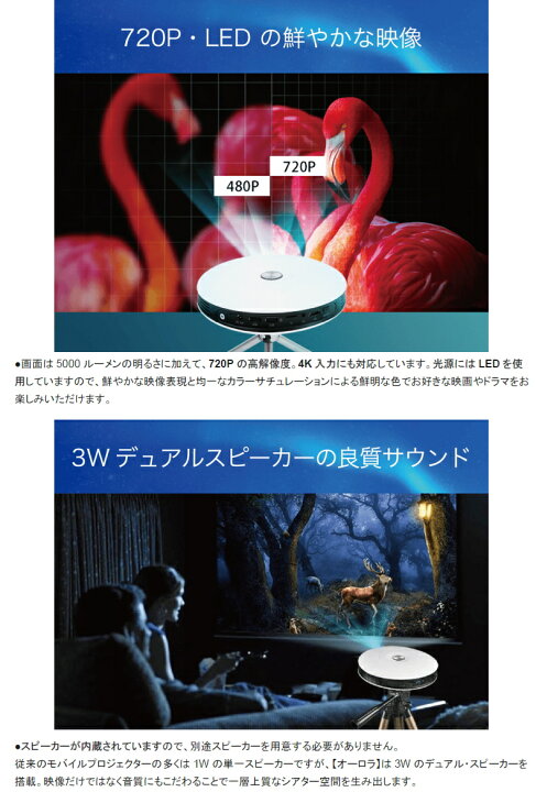 楽天市場】【メーカー直送！送料無料】 【代引き・同梱不可】 『家庭用 