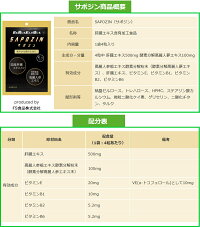 ※ゆうパケット送料無料※『SAPOZINサポジン(4粒×10包)』
