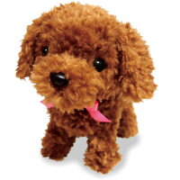 【基本宅配便送料無料】『オスト元気な仔犬トイプードルのショコラちゃん』