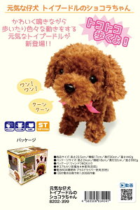 【基本宅配便送料無料】『オスト元気な仔犬トイプードルのショコラちゃん』
