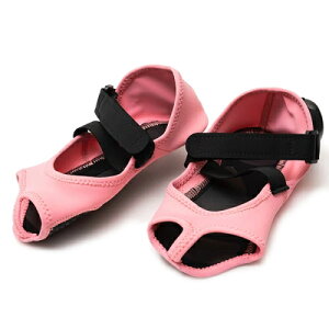 �T�|�[�^�[ EMS PosfiT �n�C�u���b�h�A�[�` �A�c �y �ďC �g�����|�������\�b�h ���� EMS �T�|�[�^�[ �����A�[�` �g���[�j���O �^�� �Ȃ��� �_�C�G�b�g �T�|�[�^�[ ���� �ؓ� ���w�� ���p�� ��g