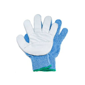 �w�ϐj �ϐ� ��� CX �C���X�����v���@�� ���� �yFALCON�z�x