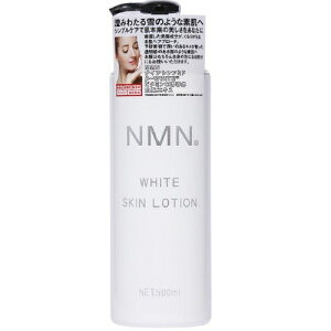 ϐ [V G[r[G NMN zCg XL[V 500ml  XL PA e  ێ L  f V iCAVA~h V j { ϕi