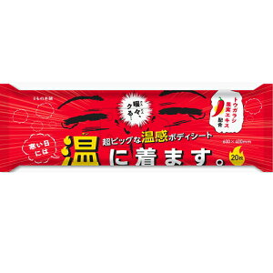 wii̖{ 唻  {fBV[g ɒ܂B 20@60×40cmx