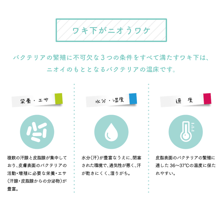 楽天市場】【公式】 ◇3個セット◇ デオドラントクリーム 脇
