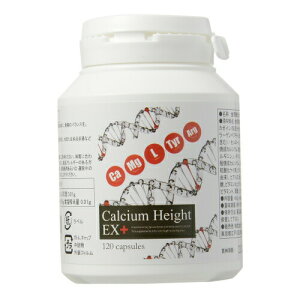 y`OX֑z wJVEnCg EX+@48.0g 400mg×120x