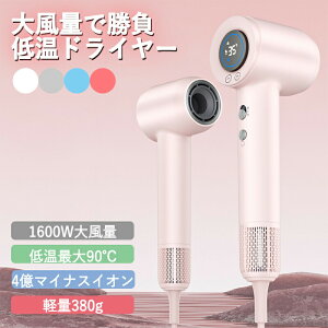 yԌ12280~9780~zhC[ 啗  wAhC[ wAPA É P lC  ߐÓdC 13̕[h2ʃ[h щP ᑛ mYt v