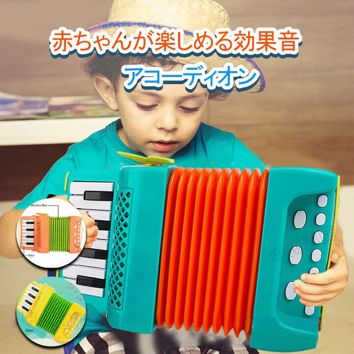 楽天市場】音楽 おもちゃ 知育玩具 アコーディオン 楽器 育おもちゃ 