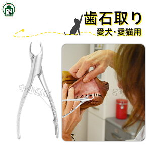 ELp Ύ y`   f^PA z[PA L vp