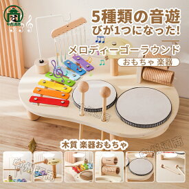 知育玩具 木製楽器 木のおもちゃ 1歳 1歳半 2歳 誕生日プレゼント 楽しい楽器 誕生日 プレゼント 一歳 女の子 男の子 知育 知育おもちゃ 出産祝い 知育玩具 子供 幼児 孫 木製 オモチャ 長く 使える 室内