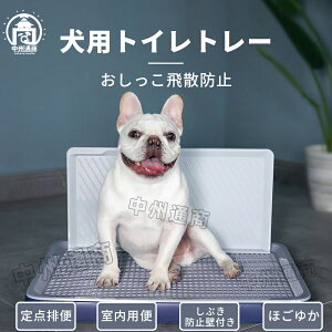 gC p pgCg[ g[jOg[ hbOg[ ǕtgC Uh~ V[cjh~ bVt h~ ȒP ې􂢉\ |