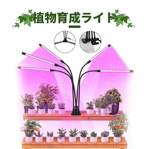 A琬Cg LED Nbv u4 10iK 3[hF 360x ^C}[@\vPx Ɩ R ^C~O莞@\ ͔|v ͔|