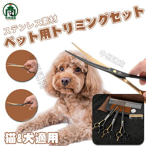 yX[p[SALEzIzybgg~OnT~Zbg g~OVU[ ybg̔eɃnT~ ybg [P[Xt L pi  SgJbg S  XeX| XLo