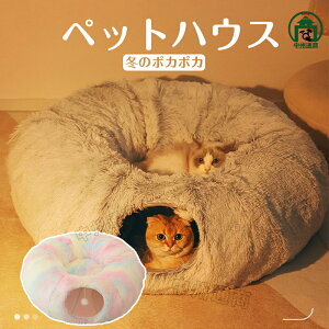 yX[p[SALEzIzL xbh ybgnEX LnEX L xbhh[ LbgnEX  L nEX tFg gl Lbggl h[^ xbh ˂nEX B v 