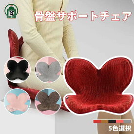 【在庫処分X当日発送】骨盤サポートチェア 座椅子 腰痛 姿勢矯正 チェア 椅子 椅子用クッション 5way 骨盤サポートクッション 座椅子 あぐら椅子 椅子用座布団 在宅勤務 腰痛対策 おしゃれ シンプル 会社用 勤務用 いす用座布団 座布団 ざぶとん 背筋矯正 正しい姿勢