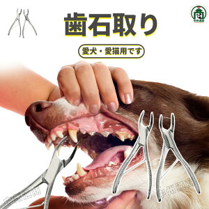 ELp Ύ y`   f^PA z[PA L vp