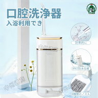 口腔洗浄器 口腔洗浄機 フロス ジェット 歯間ケア 水流歯ブラシ DIY IPX7防水 USB充電 風呂 携帯 ウォー…