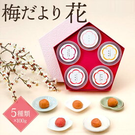 中田食品 紀州産南高梅 梅だより 花紀州産 南高梅 梅干し 100g × 5種類 詰合せギフト 贈答