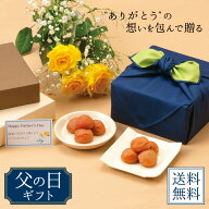 中田食品 父の日 梅干セット (梅ぼし田舎漬 / しらら) 送料無料 数量限定 父の日ギフト プレゼント ギフ…