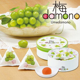 中田食品 梅damono(うめだもの) マスカット 12粒入 個包装 和歌山県産 紀州南高梅 塩分4％ 梅 梅干 梅干し 梅ぼし 国産 紀州産 南高梅 フルーツ デザート おやつ お菓子 プレゼント ギフト 贈答 贈り物 2025 食べ物 グルメ おすすめ 人気 家庭用