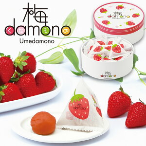 中田食品 梅damono(うめだもの) いちご 12粒入 個包装 和歌山県産 紀州南高梅 塩分4% 数量限定 梅干し 国産 紀州産 南高梅 フルーツ デザート お菓子 おやつ プレゼント ギフト プチギフト グル