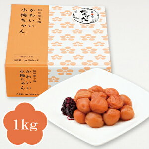 中田食品 梅干し 紀州産小梅 かわいい小梅ちゃん 1kg 塩分11%