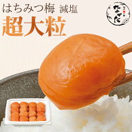 中田食品 はちみつ梅 減塩 超大粒 550g 紀州産南高梅 塩分3%送料無料 数量限定 お試し おためし 梅 梅干 …