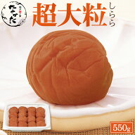 中田食品 しらら 超大粒 和歌山県産 紀州南高梅 塩分5% 550g送料無料 数量限定 梅干し 梅 梅干 梅ぼし 国…