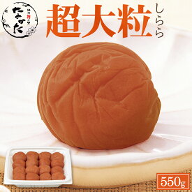中田食品 しらら 超大粒 和歌山県産 紀州南高梅 塩分5% 550g送料無料 数量限定 梅干し 梅 梅干 梅ぼし 国産 紀州産 南高梅 プレゼント ギフト グルメ 贈答 贈り物 お取り寄せ 食べ物 おすすめ 人気 家庭用 大きい 大玉 大粒